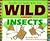 Crafts for Kids who are Wild about Insects