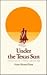 Under the Texas Sun: Adventures of a Texas Cowpuncher
