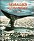Whales of the World by June Behrens