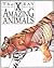 The X-Ray Picture Book of Amazing Animals by Gerald Legg