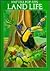 Land Life (Nature Pop-Ups)