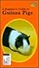 Beginner's Guide to Guinea Pigs