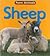 Sheep (Farm Animals)