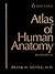Atlas of Human Anatomy by Frank H. Netter Atlas of Human Anatomy by Frank H. Netter