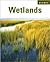 Wetlands (Biomes)