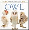 Owl (See How They Grow) Owl (See How They Grow)
