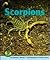 Scorpions (Early Bird Natur...