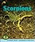 Scorpions (Early Bird Nature Books)
