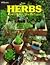 Herbs