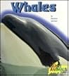 Whales (Giant Animals Series)