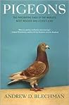Pigeons by Andrew D. Blechman
