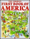 The Usborne First Book of America (Paperback)