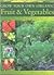 Grow Your Own Organic Fruit and Vegetables: An Easy-to-Follow Directory of Vegetables, Herbs and Fruit