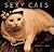 Sexy Cats