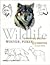 Wildlife Painting Basics: Wolves, Foxes, & Coyotes