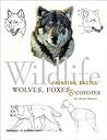Wildlife Painting Basics: Wolves, Foxes, & Coyotes Wildlife Painting Basics: Wolves, Foxes, & Coyotes