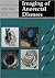 Imaging of Anorectal Diseases (Greenwich Medical Media)