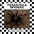 Tarantula Spiders