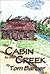 The Cabin by the Creek