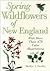 Spring Wildflowers of New England