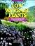 Low-water-use Plants