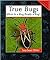 True Bugs: When Is a Bug Really a Bug? (Animals in Order)