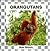 Orangutans (Monkeys)
