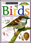 Eyewitness Explorers: Birds