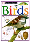 Eyewitness Explorers: Birds (Paperback)