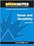 Sense and Sensibility (SparkNotes Literature Guide Series)