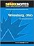 Winesburg, Ohio (SparkNotes Literature Guide Series)