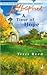 A Time of Hope (Love Inspir...
