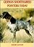 German Shorthaired Pointers Today by David Layton