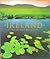 Ireland: an island revealed