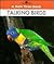 Talking Birds (New True Book)