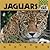 Jaguars (Wild Cats)