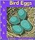 Bird Eggs (Birds)