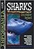 Informania: Sharks