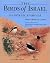 The Birds of Israel