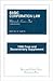 Basic Corporation 1998 Documentary Supplement (University Casebook Series)