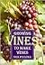 Growing Vines to Make Wines by Special Interest Model Books
