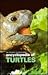 Encyclopedia of Turtles by Peter C.H. Pritchard