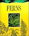 Ferns (Green World)