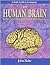 Study Guide to Accompany The Human Brain by John Nolte