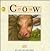 The Cow (My First Nature Book)