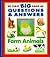 Farm Animals by Brian Conway