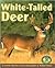 White-Tailed Deer (Early Bird Nature Books)