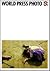 World Press Photo 2005 by World Press Photo Foundation