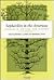 Sephardim in the Americas: Studies in Culture and History (Judaic Studies Series)