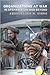 Organizations at War in Afghanistan and Beyond by Abdulkader H. Sinno